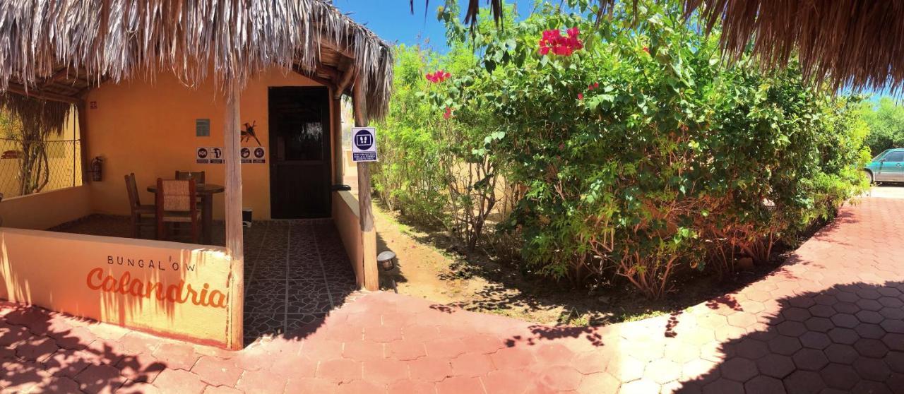 Bungalows Cabo Pulmo エクステリア 写真