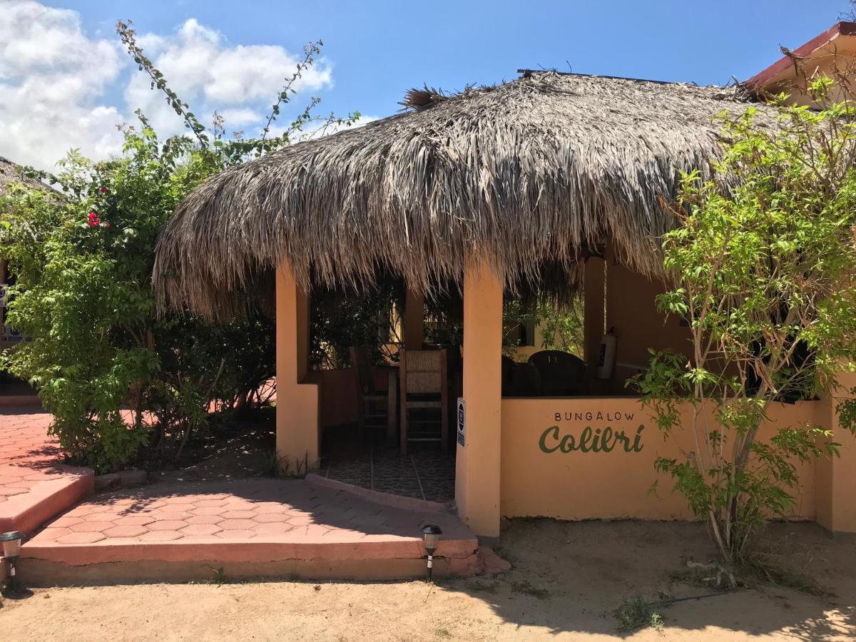 Bungalows Cabo Pulmo エクステリア 写真