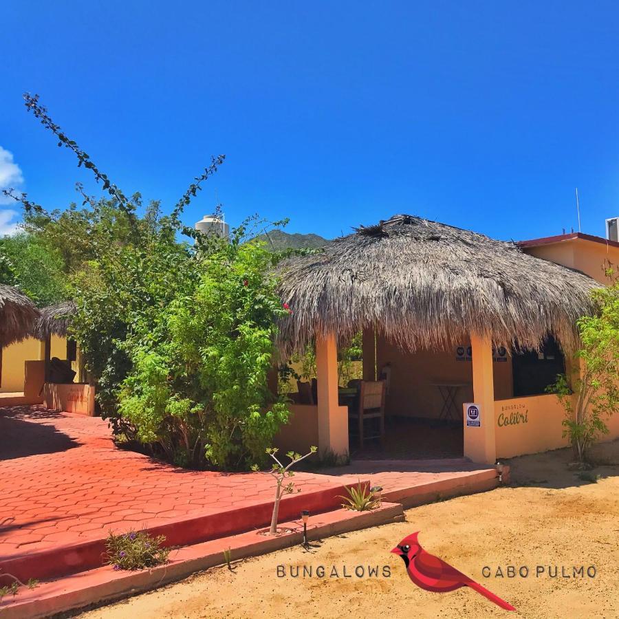 Bungalows Cabo Pulmo エクステリア 写真