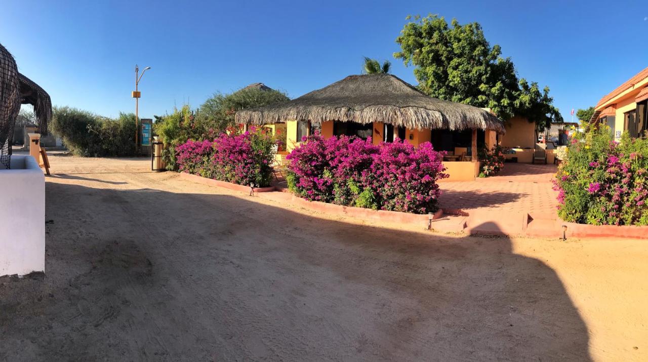 Bungalows Cabo Pulmo エクステリア 写真