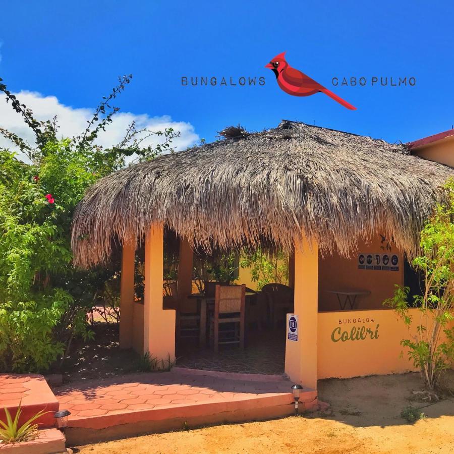 Bungalows Cabo Pulmo エクステリア 写真