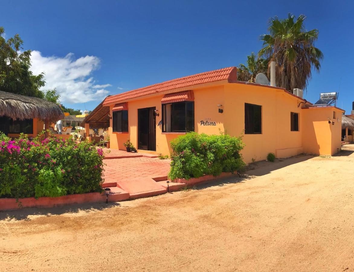 Bungalows Cabo Pulmo エクステリア 写真