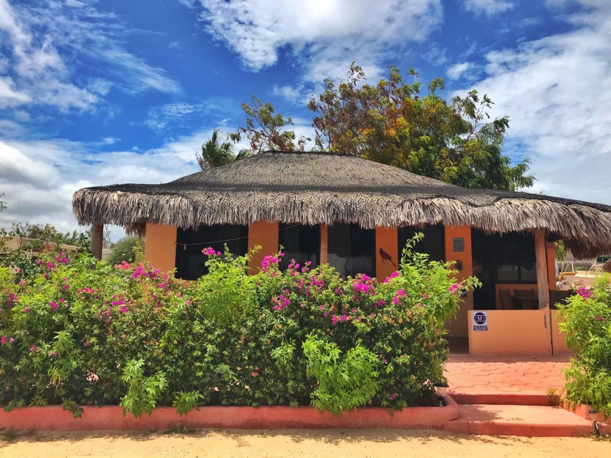 Bungalows Cabo Pulmo エクステリア 写真