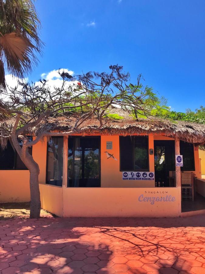 Bungalows Cabo Pulmo エクステリア 写真