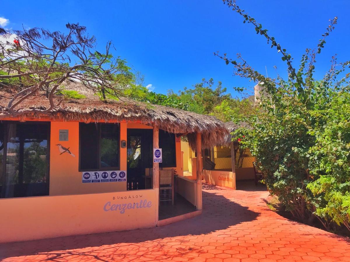 Bungalows Cabo Pulmo エクステリア 写真
