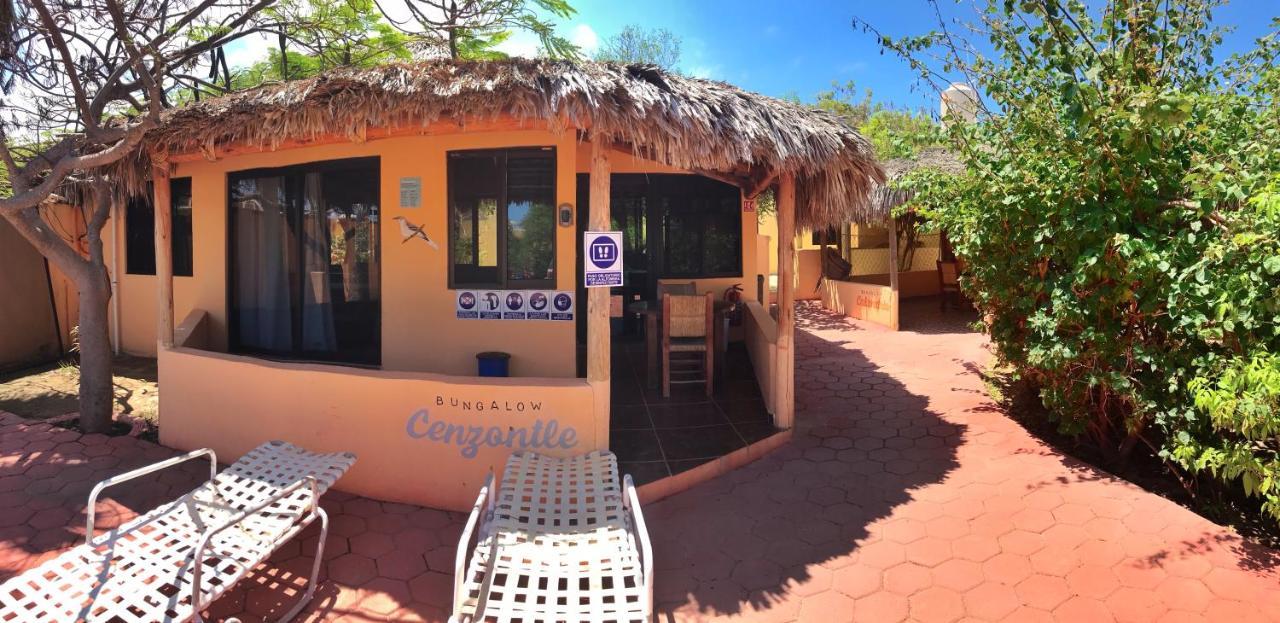 Bungalows Cabo Pulmo エクステリア 写真
