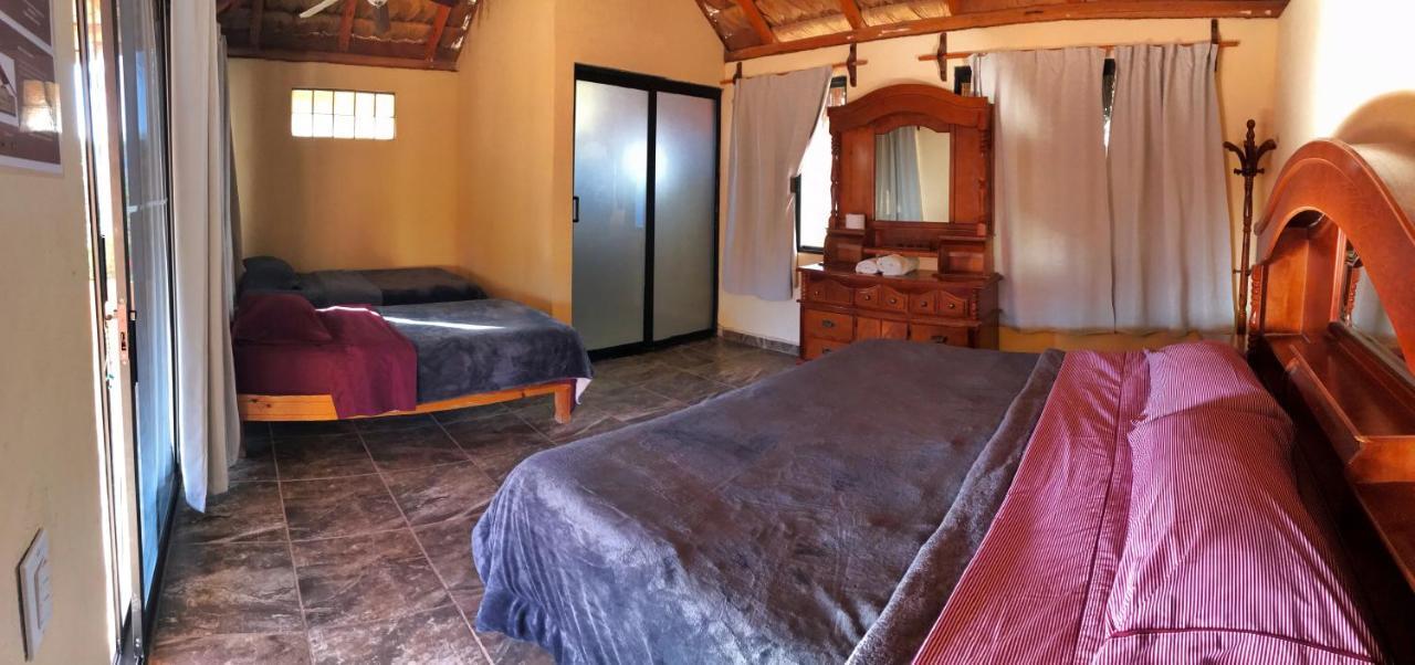 Bungalows Cabo Pulmo エクステリア 写真