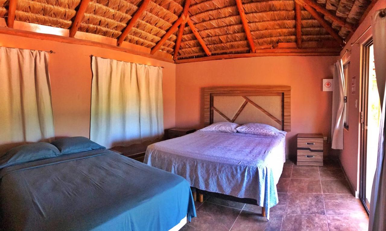 Bungalows Cabo Pulmo エクステリア 写真