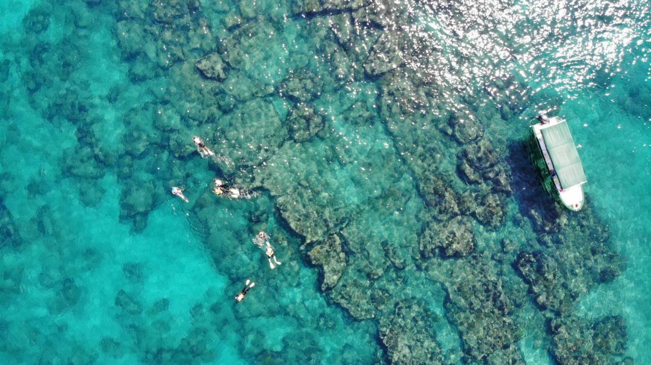 Bungalows Cabo Pulmo エクステリア 写真